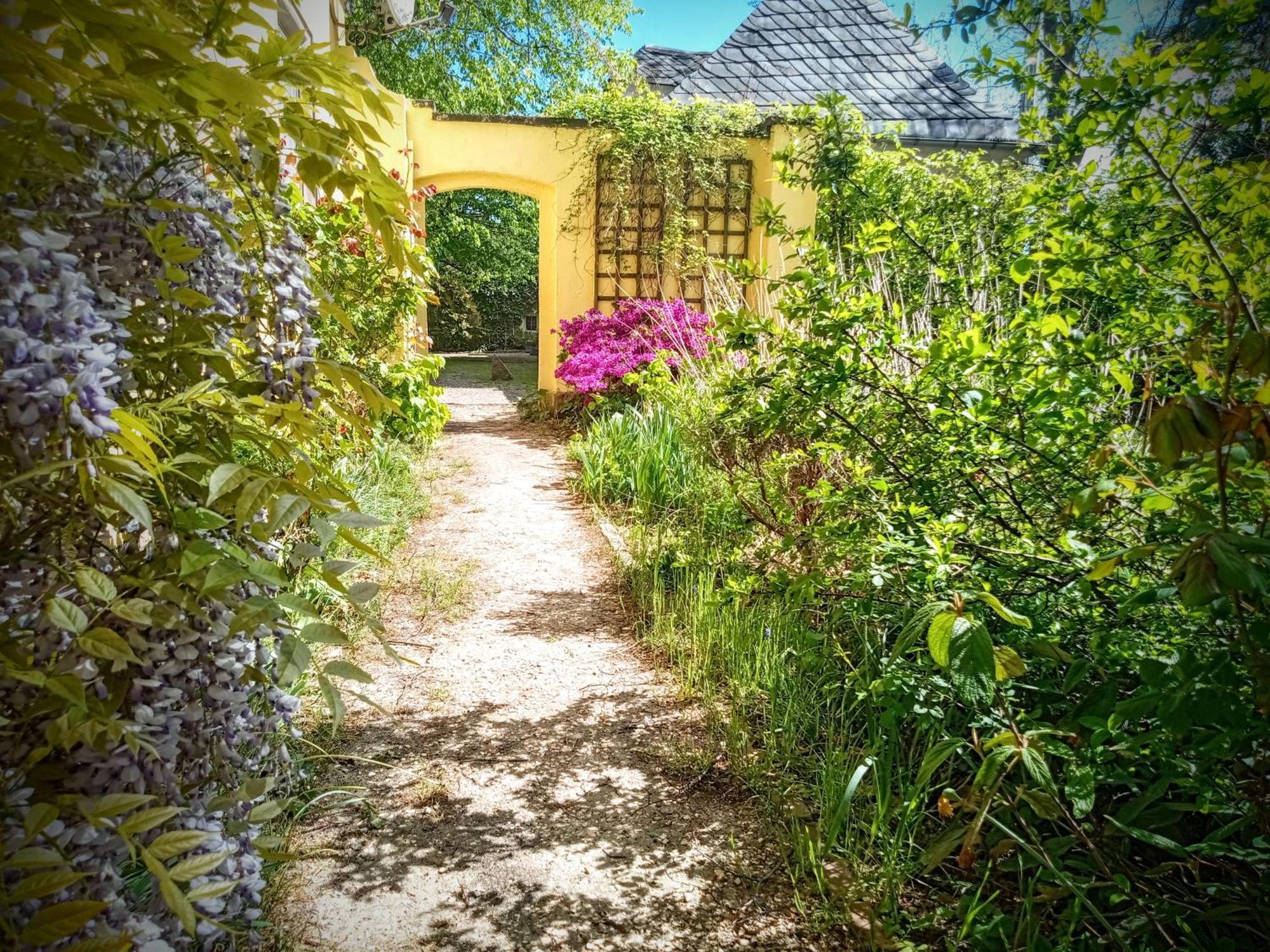 Ferienhaus Dr. Müller Meißen Exterior foto